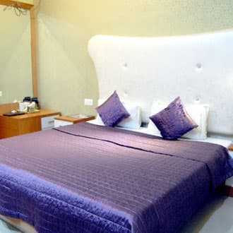 New Tourist Hotel, Alwar 2